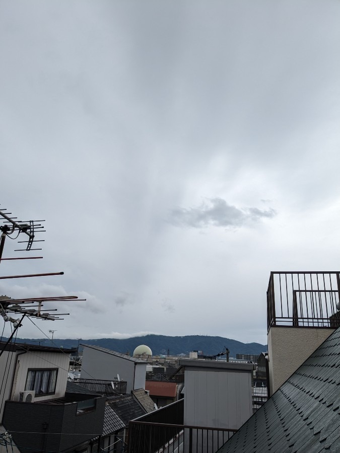 おはようございます❢