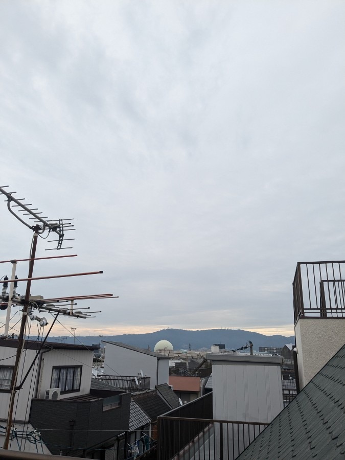 おはようございます❢