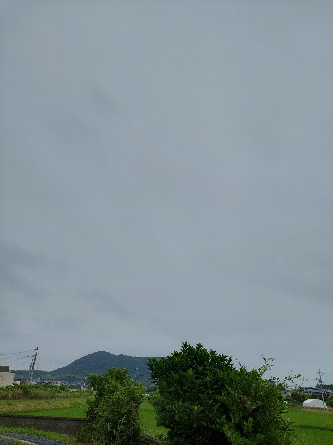 おはようございます6/27