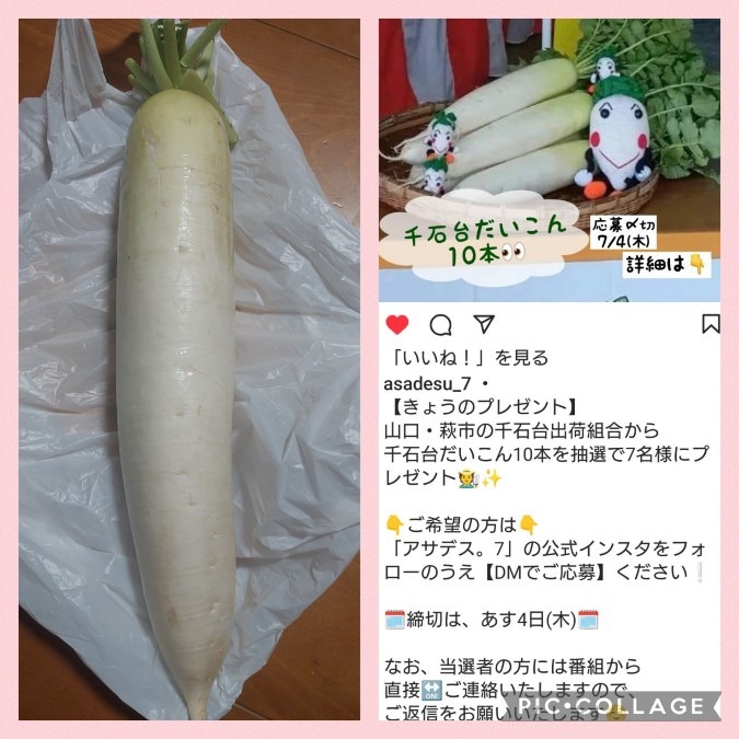 妹が当選