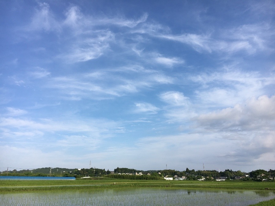 ⭕️空部→ 今日の空（≧∇≦）‼️1333.