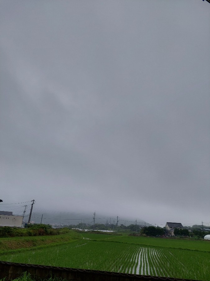 おはようございます7/2