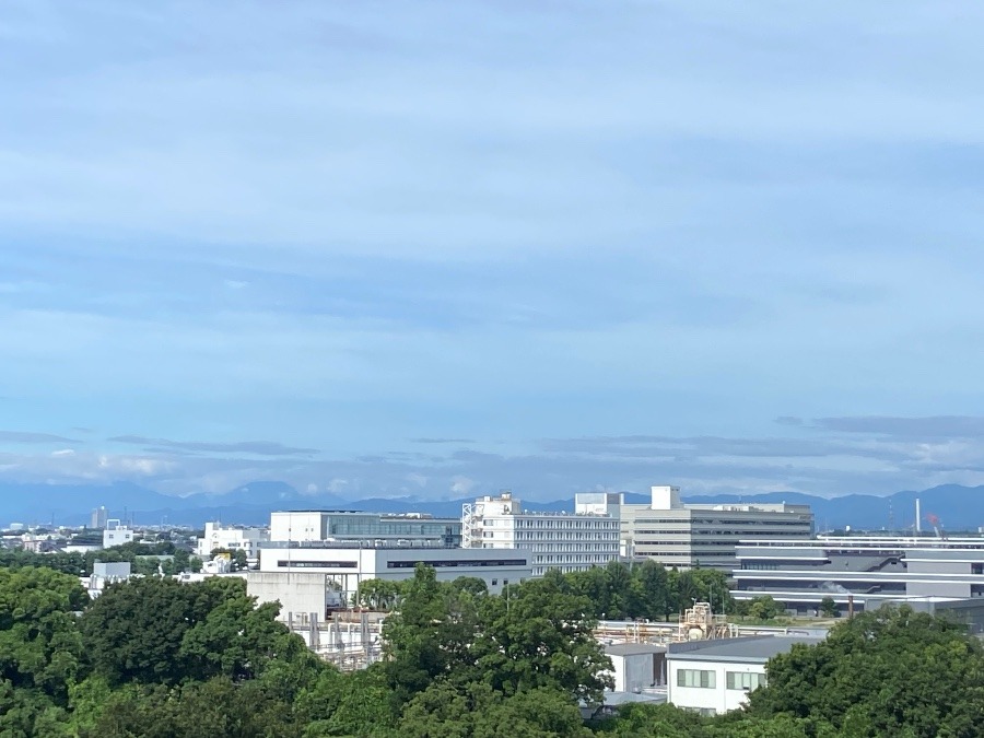今朝の富士山