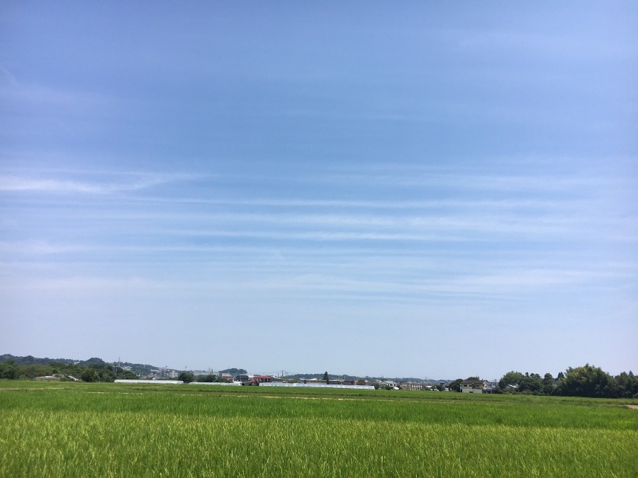 ⭕️空部→ 今日の空（≧∇≦）‼️1439.