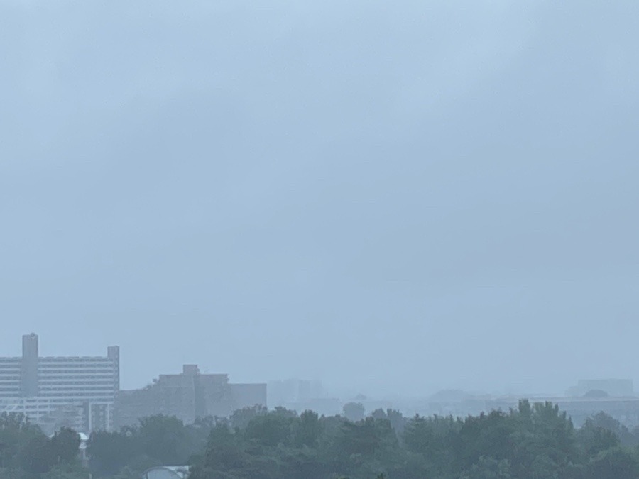 都心方面はこんな感じで　きっと雨が強いだろうな