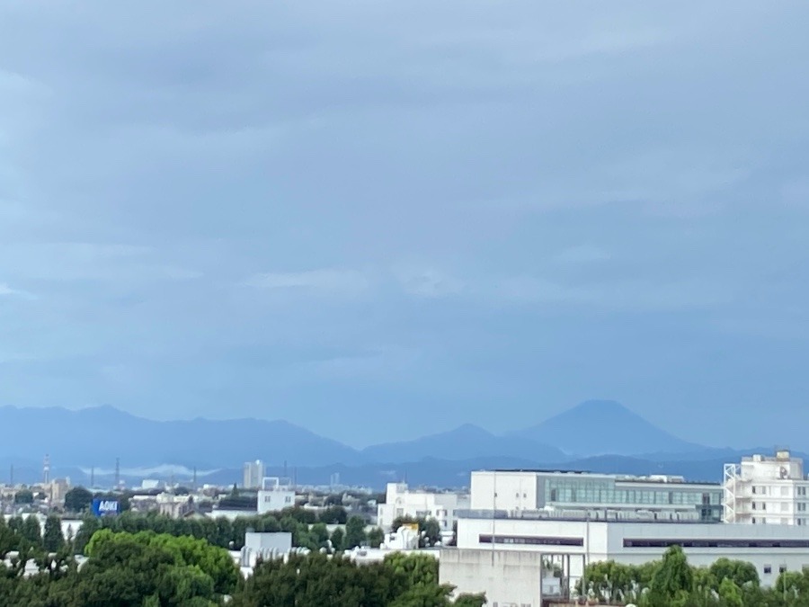 今朝の富士山