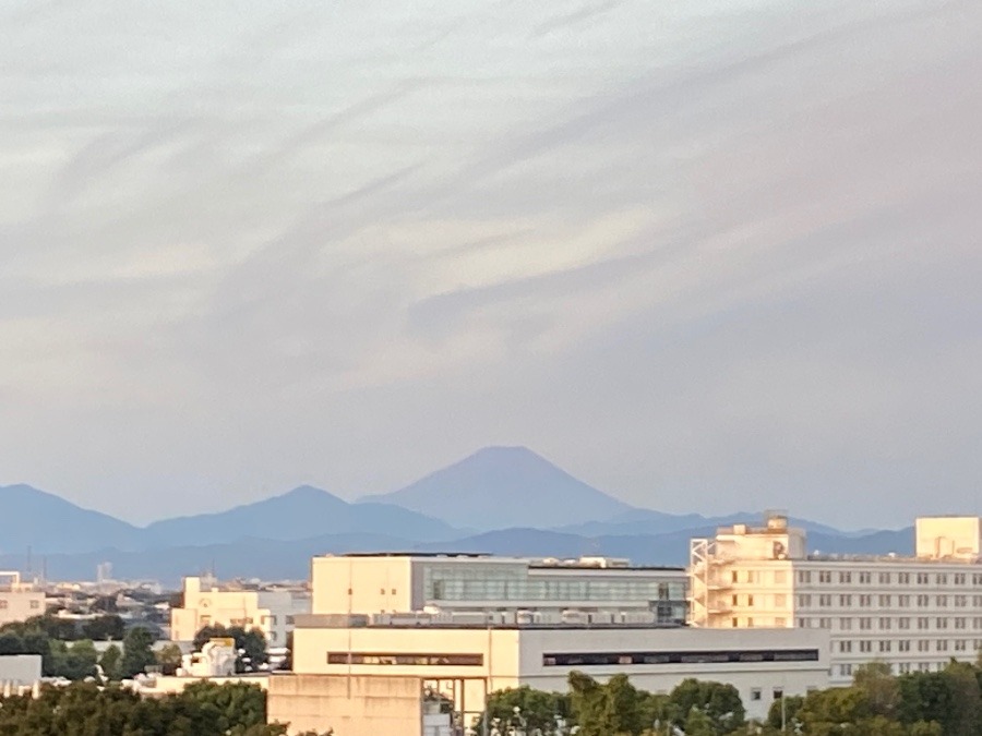 今朝の富士山