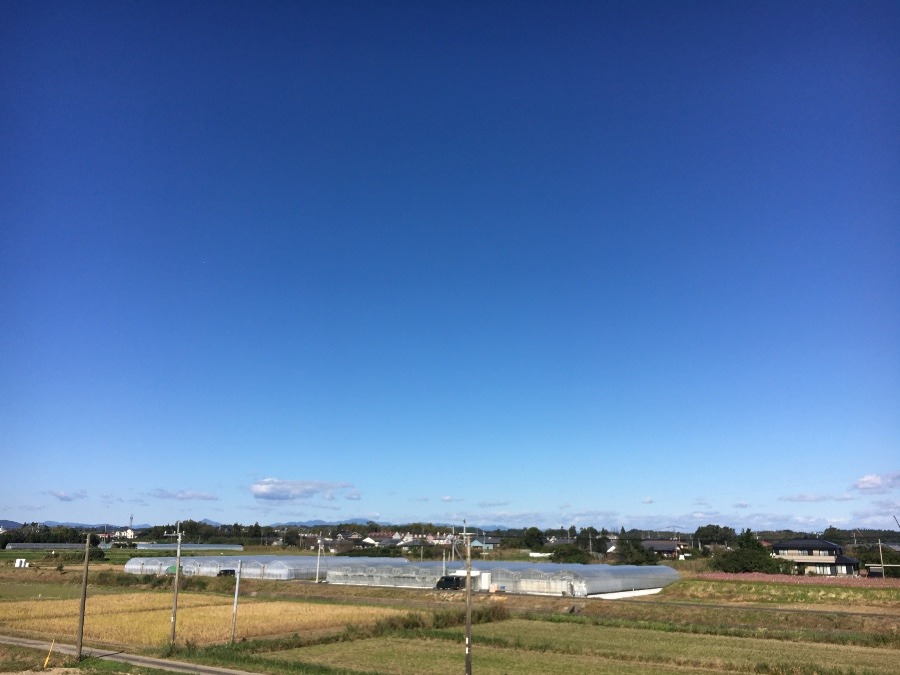 ⭕️空部→ 今日の空（≧∇≦）‼️1555.