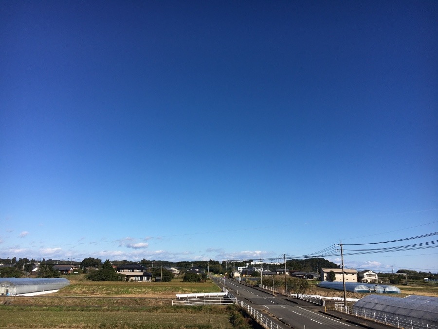 ⭕️空部→ 今日の空（≧∇≦）‼️1560.