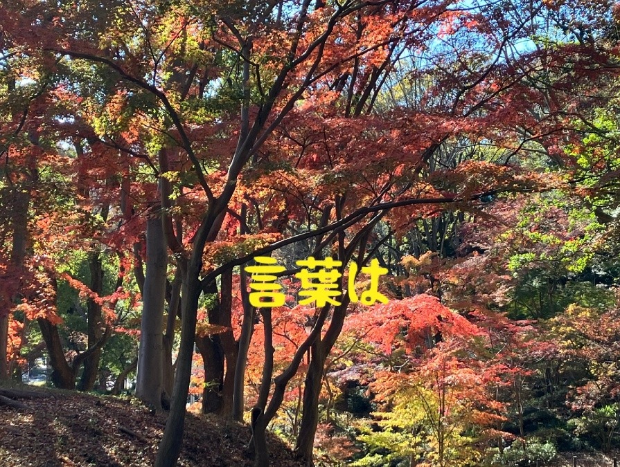 言葉は