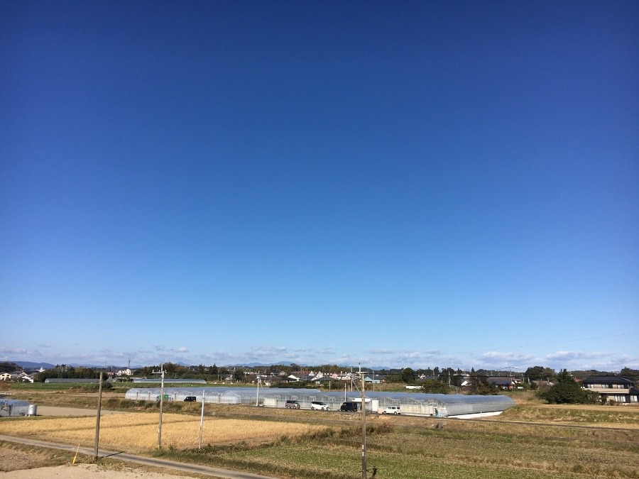 ⭕️空部→ 今日の空（≧∇≦）‼️1569.
