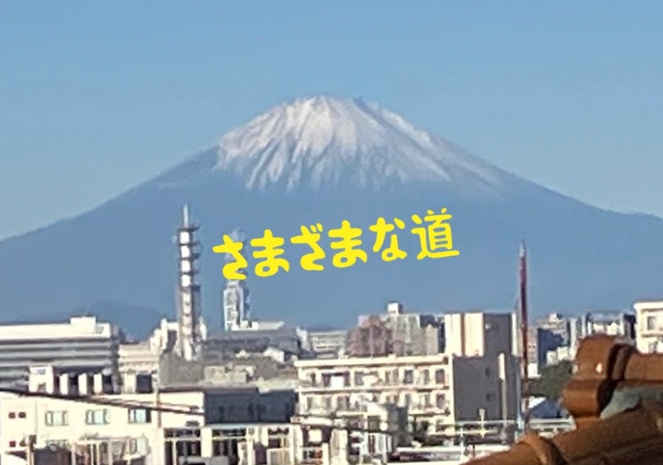 さまざまな道