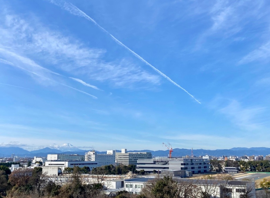 今朝の富士山