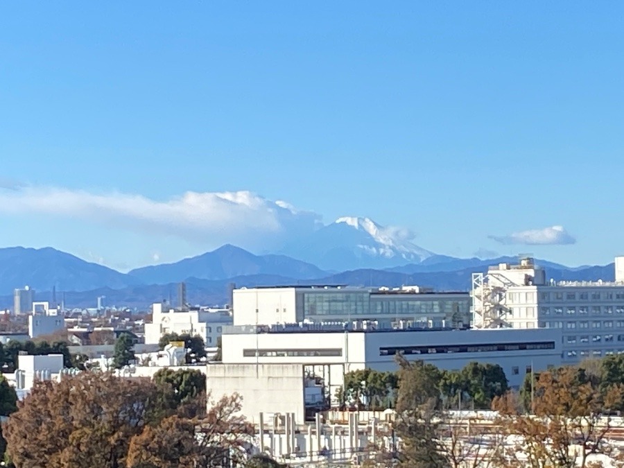 今朝の富士山