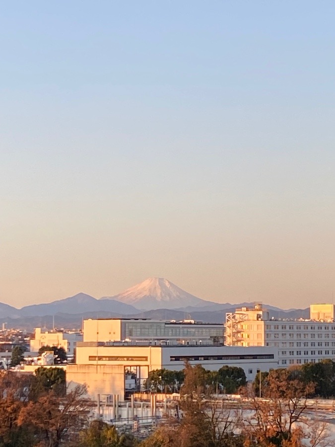 今朝の富士山