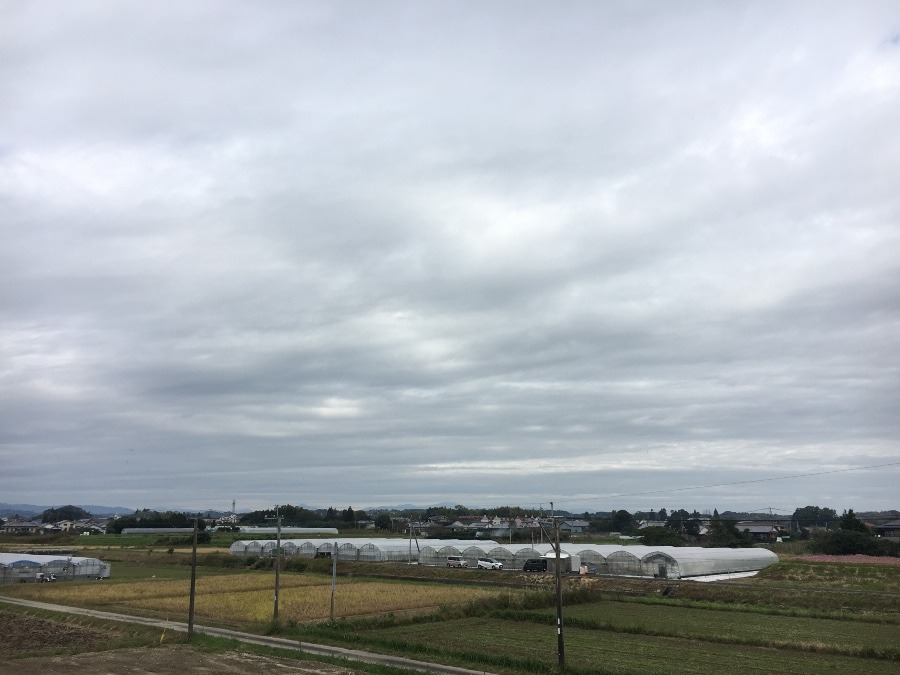 ⭕️空部→ 今日の空（≧∇≦）‼️1565.