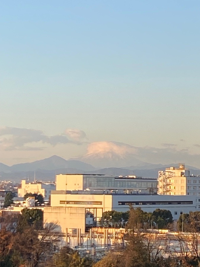今朝の富士山