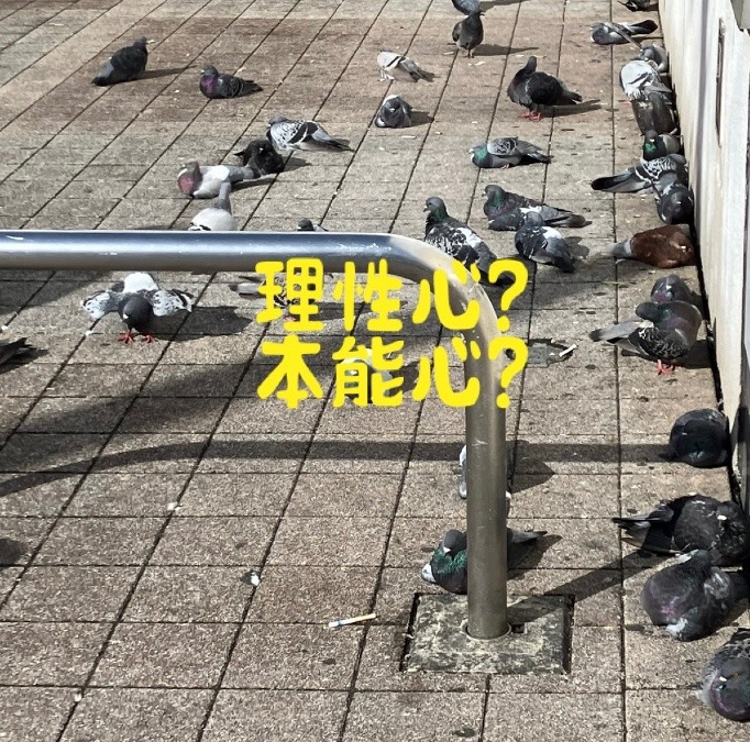 理性心、本能心