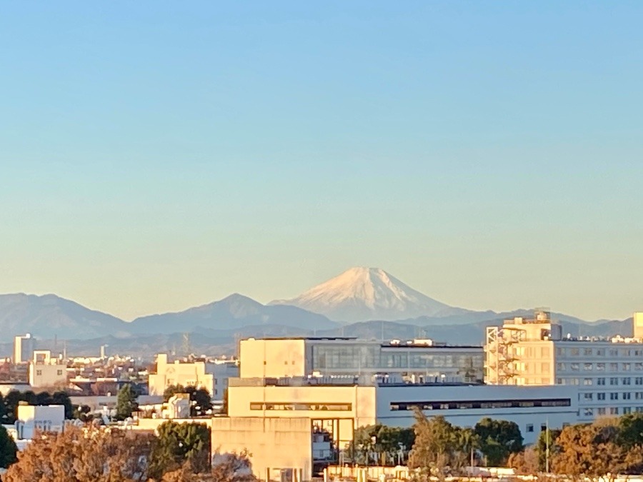 今朝の富士山