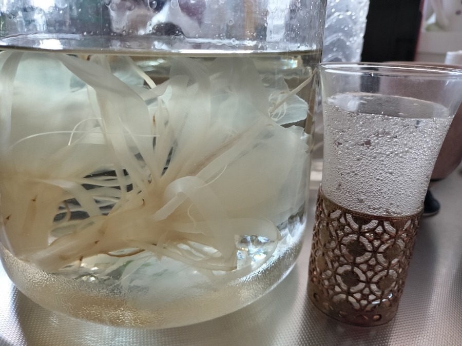 月下美人酒