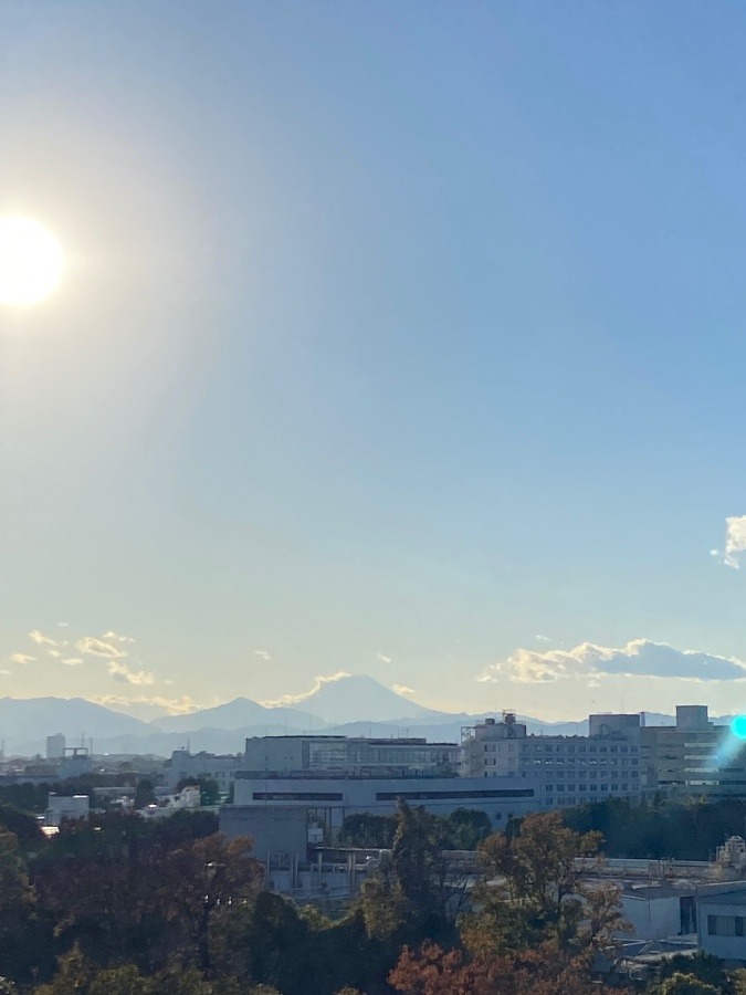 午後の富士山　まばゆい