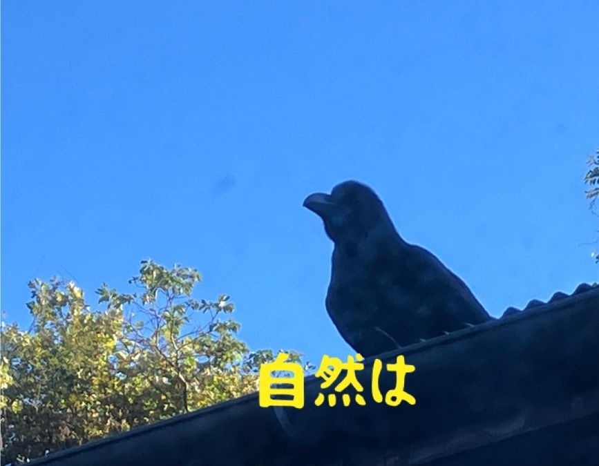 自然は