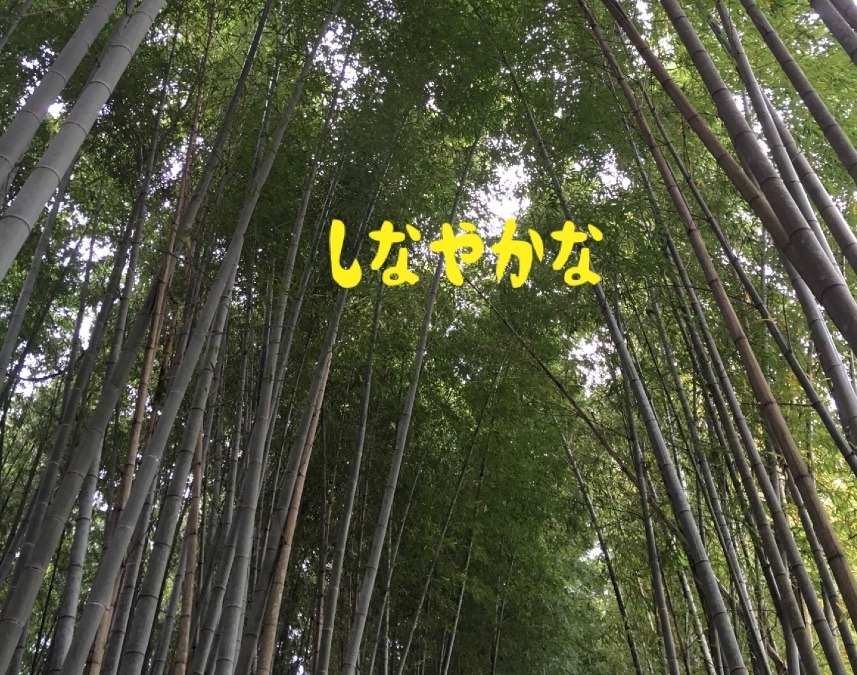 しなやかな