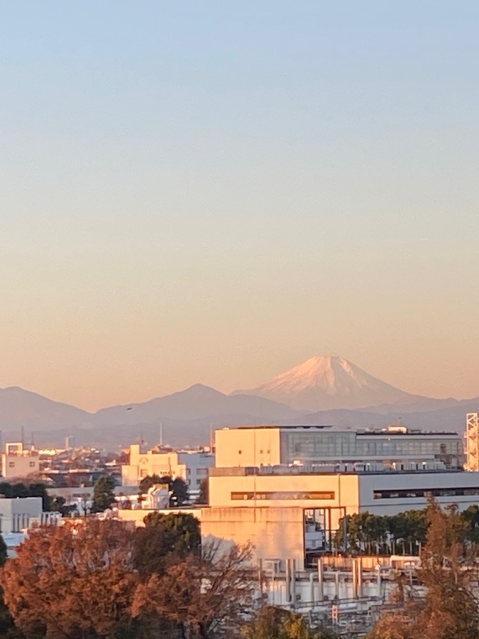 今朝の富士山