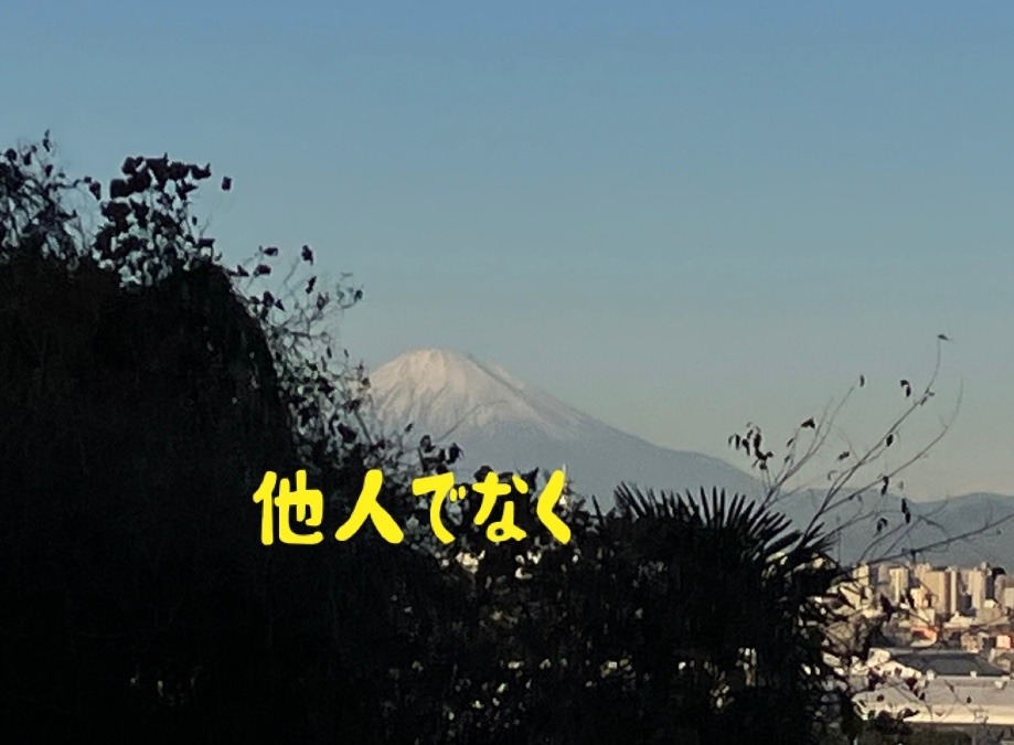 他人でなく