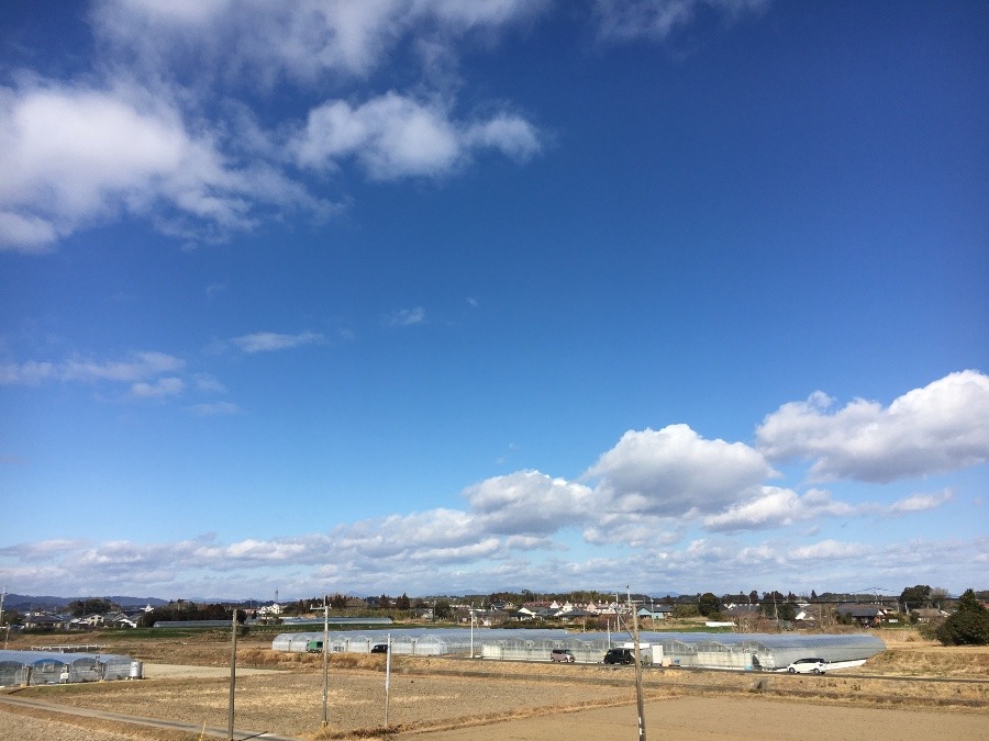 ⭕️空部→ 今日の空（≧∇≦）‼️1599.