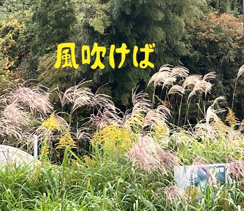風吹けば