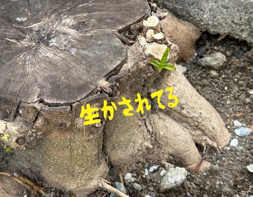 みんな