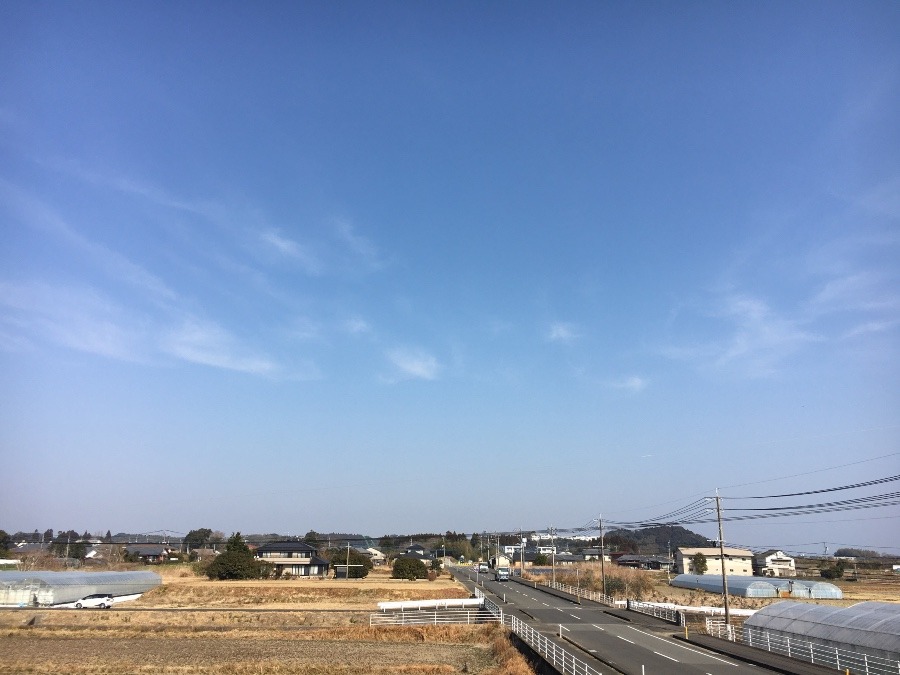 ⭕️空部→ 今日の空（≧∇≦）‼️1595.