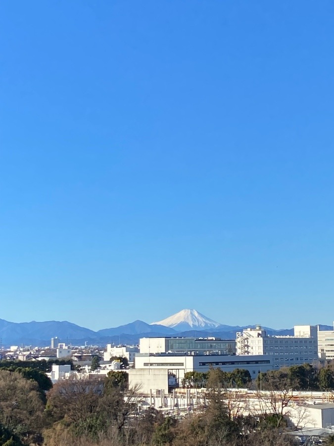 今朝の富士山　厳しい寒さの中の富士山は美しい