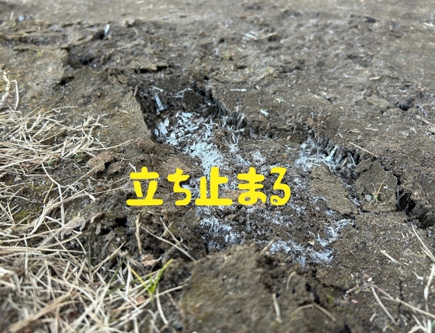 立ち止まる