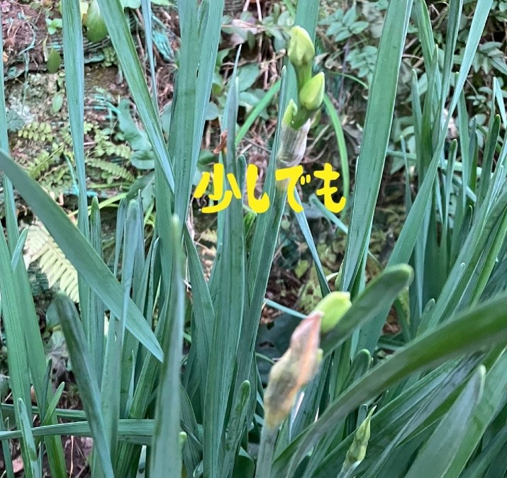 少しでも