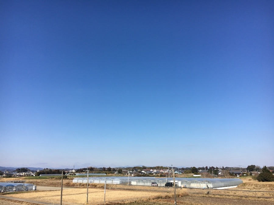⭕️空部→ 今日の空（≧∇≦）‼️1591.