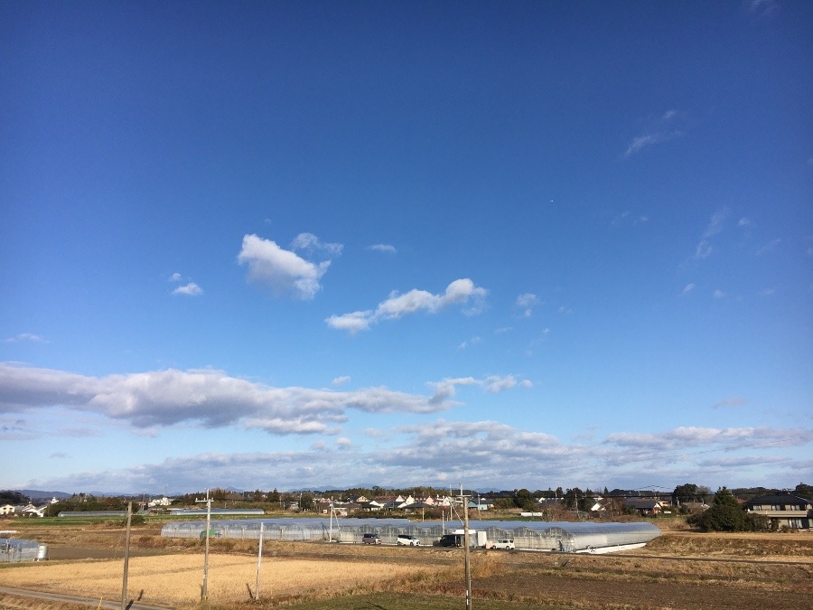 ⭕️空部→ 今日の空（≧∇≦）‼️1584.