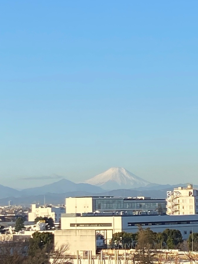 今朝の富士山　昨日の春一番の強風と砂嵐が嘘のよう