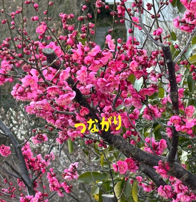 つながり