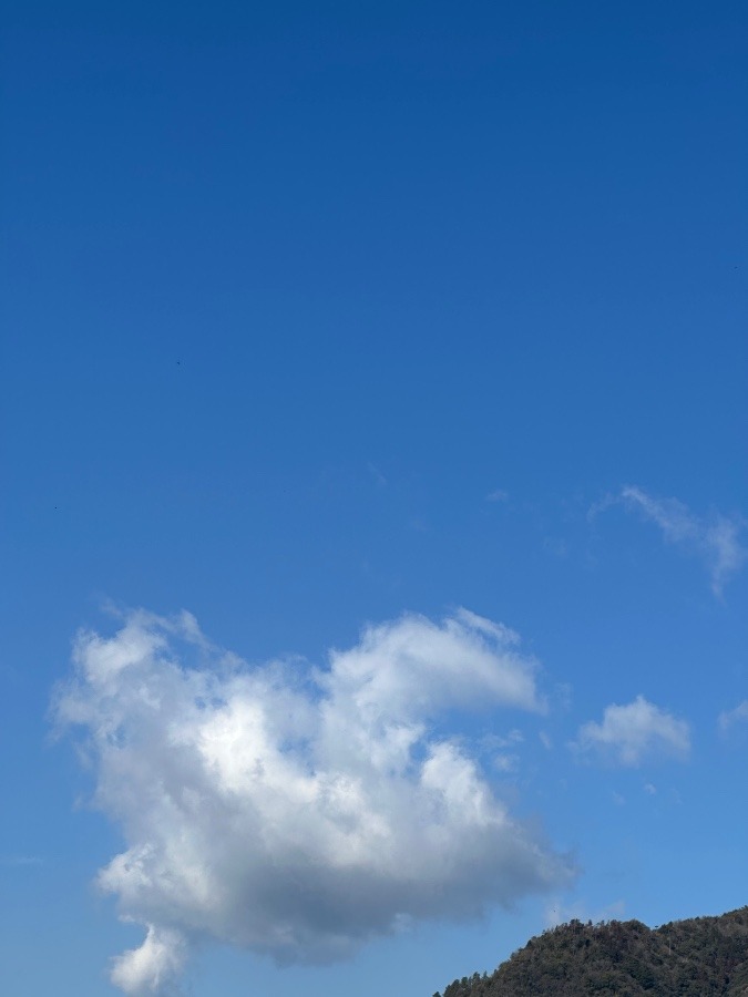 2／26  10:00の空