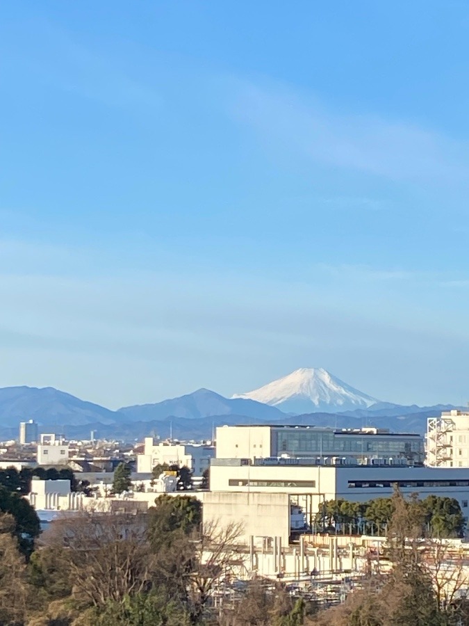 今朝の富士山　寒風の中に美しくそびえてますね