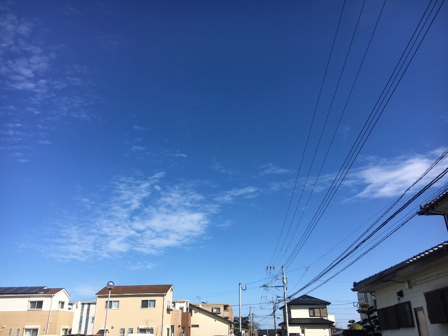⭕️空部→ 今日の空（≧∇≦）‼️1611.