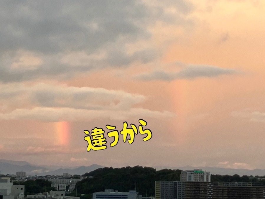 違うから