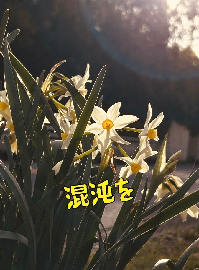 混沌を