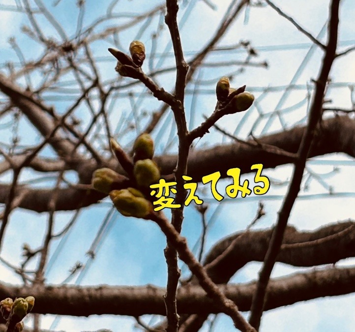 変えてみる