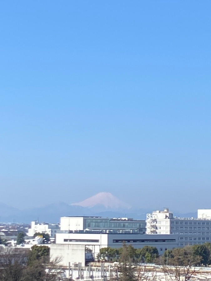 今朝の富士山　花粉の中？　黄砂の中?
