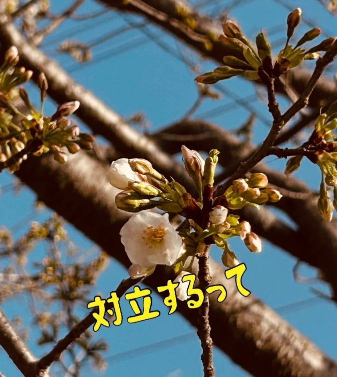 対立するって