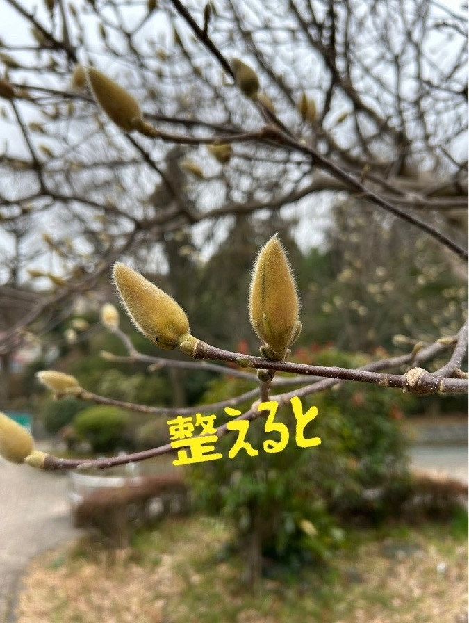 整えると