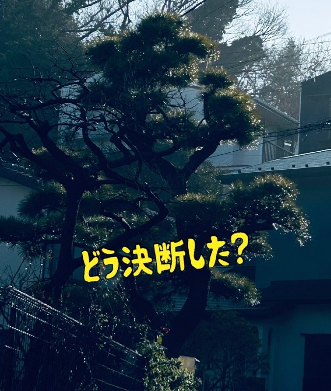 どう決めた？